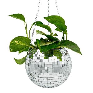 Mikamax - Funky Disco Planter