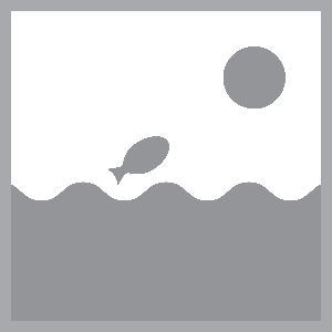 Aquaforte Flexibele Koi Bowl 180x60 cm - Vijver Visverzorging met Afdeknet en Opbergtas 1500L