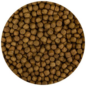 Fd Food Build-Up Extra M Koi-Voer 5,7mm - Groei & Gezondheid bij Lage Temperaturen 3kg