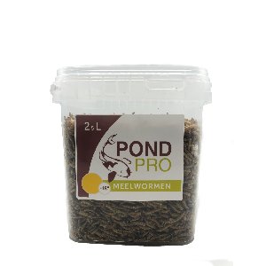 Pond Pro Meelwormen 2,5L - Eiwitrijk Voer voor Koi, Schildpadden en Kippen, Bevordert Groei en Vitaliteit