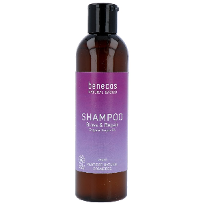 Benecos Gloss & Repair Shampoo
