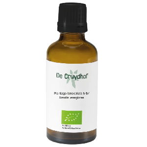 Cruydhof Plantago Lanceolata Hrb/Smalle Weegbree Druppels
