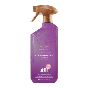 Bruynzeel Cosmetic Homecare Allesreiniger Spray Fresh Wood