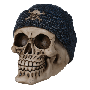 Doodshoofd Spaarpot Met Vissershoed