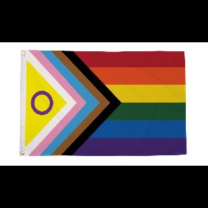 Intersekse Progress vlag 90x150 | best value