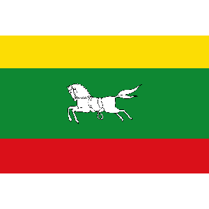 Vlag Zuidlaren 150x225cm