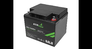 EcoLine - AGM 12V 40AH - 40000mAh VRLA Batterij - 197 x 165 x 175 - Deep Cycle Accu