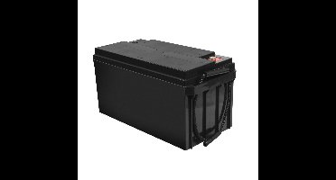 Accu AGM VRLA 12V 65Ah