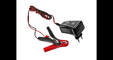 Oplader voor accu's 6V / 12V (1A)