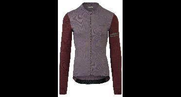 Colorblock Fietsshirt Lange Mouwen Performance Heren