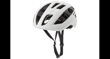 Sleek Helm