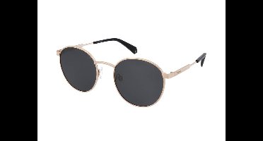 Zonnebrillen Polaroid PLD 2053/S 2F7/M9