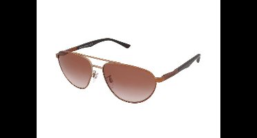 Zonnebrillen Emporio Armani EA2125 300413
