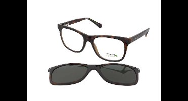 Brillen met correctie Polaroid PLD 6202/CS 086/UC