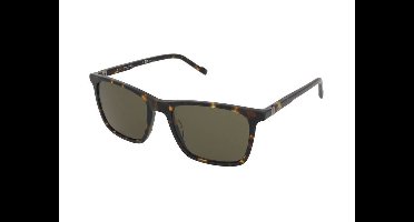 Zonnebrillen Pierre Cardin P.C. 6275/S 086/QT