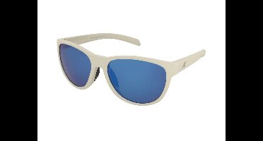 Zonnebrillen Alpina Nacan II P Smoke Grey Matt/Blue Mirror