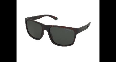 Zonnebrillen Polaroid PLD 2157/S HGC/UC