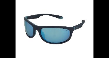 Zonnebrillen Polaroid PLD 2154/S FLL/5X