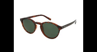 Zonnebrillen Polaroid PLD 1013/S V08/H8