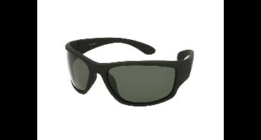 Zonnebrillen Polaroid PLD 7005/S YYV/RC