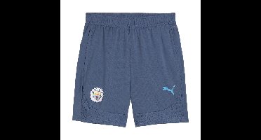 Puma Manchester City Training Shorts