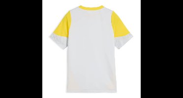 Puma Borussia Dortmund Trainingsshirt Kids