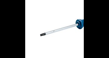 Bosch Professional Schroevendraaier TX40 x 125 - 1600A01V0F