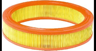 Festool HF-CT 17 Filterelement - 769134