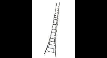 Little Jumbo Opsteekladder SuperPRO uitgebogen bomen geanodiseerd - 3x14 sporten - 1250600314