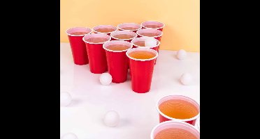 Beer pong basisset