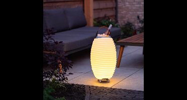 Synergy 50 lamp en speaker