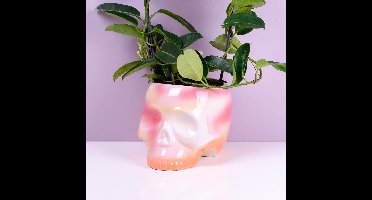 Skull plant pot - pink gradient