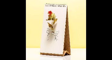 Flip Vase - Humor