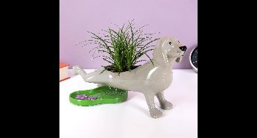 Peeing Dog Planter