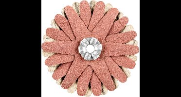 PFERD TOOLS 42732070 Schuurster Diameter 50 mm 10 stuk(s)