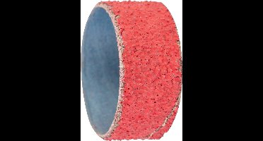 PFERD TOOLS GSB 5125 CO-COOL 36 42210602 Schuurhuls Korrelgrootte (num) 36 (Ø x h) 51 mm x 25 mm 100 stuk(s)