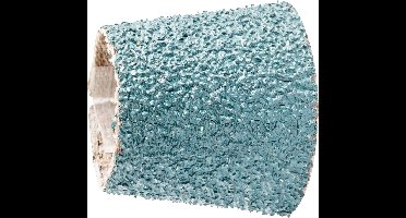 PFERD TOOLS GSB 292230 Z 36 42217172 Schuurhuls Korrelgrootte (num) 36 (Ø x h) 29 mm x 30 mm 100 stuk(s)