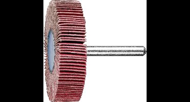 PFERD TOOLS 47802874 Lamellenslijper Diameter 60 mm 10 stuk(s)