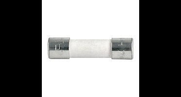 Schurter 0001.1013 0001.1013 Buiszekering (Ø x l) 5 mm x 20 mm 8.00 A 250 V/AC Snel -F- Inhoud 1 stuk(s)