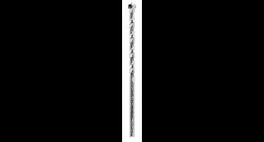 Bosch Accessories 2609255434 2609255434 Carbide Steen-spiraalboor 8 mm Gezamenlijke lengte 120 mm Cilinderschacht 1 stuk(s)
