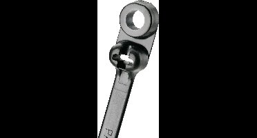 Panduit BC2S-S10-C0 BC2S-S10-C0 Kabelbinder 216 mm 4.70 mm Zwart Met bevestigingsogen 1 stuk(s)