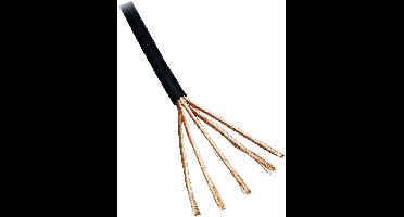 BKL Electronic 1106007/5 Audiokabel 4 x 0.1 mm² Zwart 5 m