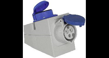 AS Schwabe 61449 CEE-wandcontactdoos 16 A 230 V 1 stuk(s)