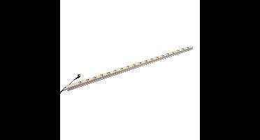 nVent SCHROFF 60110205 19 inch Stekkerdoos voor patchkast Grijs