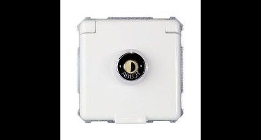 ELSO-stopcontact 225084 set 16A dezelfde aansluiting rw 1 stuk(s)