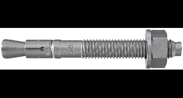 Fischer 507596 FBN II 12/100 fvz Boutanker 196 mm 12 mm 20 stuk(s)