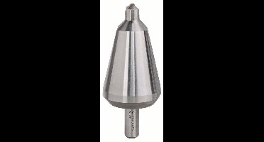 Bosch Accessories 2608597516 HSS Lepelboor Gezamenlijke lengte 89 mm Cilinderschacht 1 stuk(s)