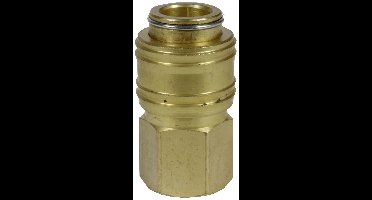 Einhell R1/4 IG 4139206 Perslucht-snelkoppeling 1 stuk(s)