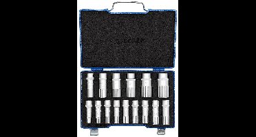 Gedore neu 2190214 Dopsleutelset Metrisch 1/2 (12.5 mm) 15-delig