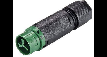Wieland Electric 46.032.4555.7 Ronde connector Stekker, recht Totaal aantal polen: 2 + PE Serie (ronde connectoren): RST® MINI 1 stuk(s)